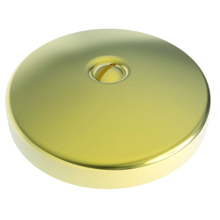 Newport Brass Waste & Overflow Faceplate in Forever Brass (Pvd) 265-01